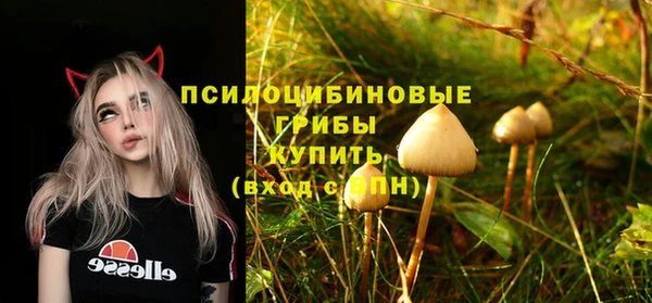 гидропоника Вяземский